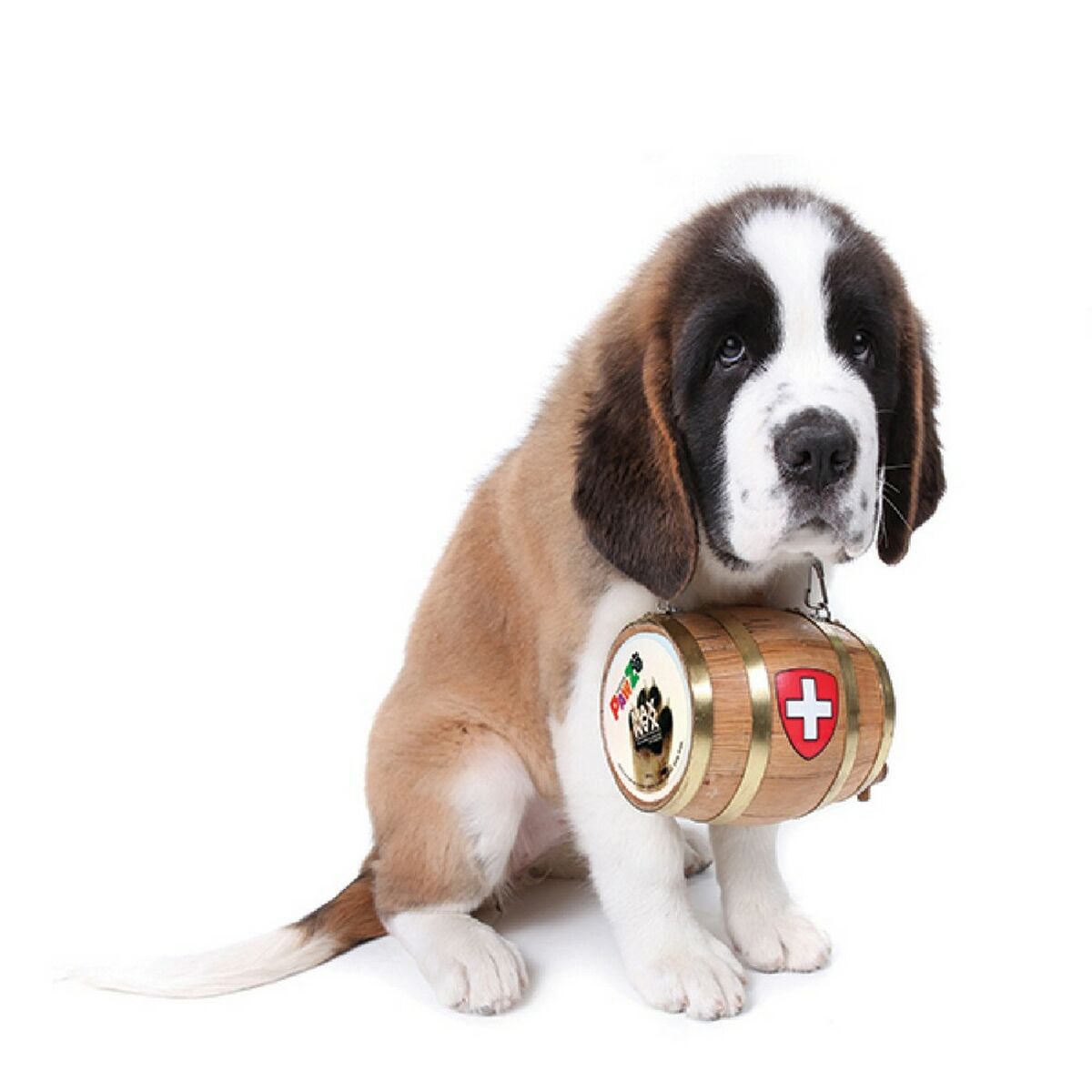 V3HE994011B29C24AD98C5E49B8B8464185R5595056P2